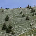 Pocitniska Hisa Gorski Sepet * Блед