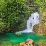 Дом отдыха Pocitniska Hisa Gorski Sepet Блед