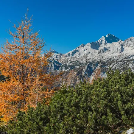 Pocitniska Hisa Gorski Sepet Semesterbostad Bled