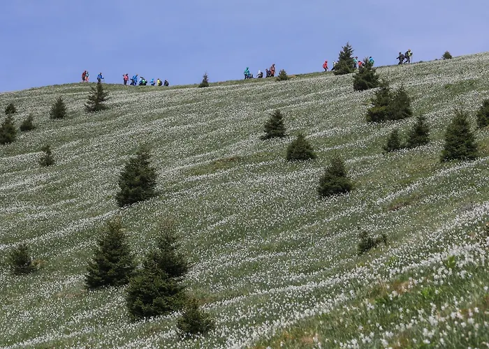 Pocitniska Hisa Gorski Sepet * Bled