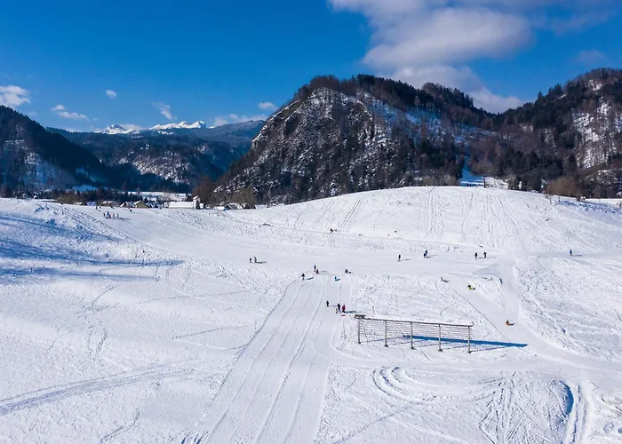 Tatil Evi Pocitniska Hisa Gorski Sepet *