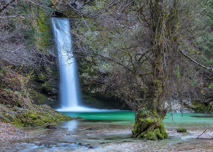 Pocitniska Hisa Gorski Sepet Bled