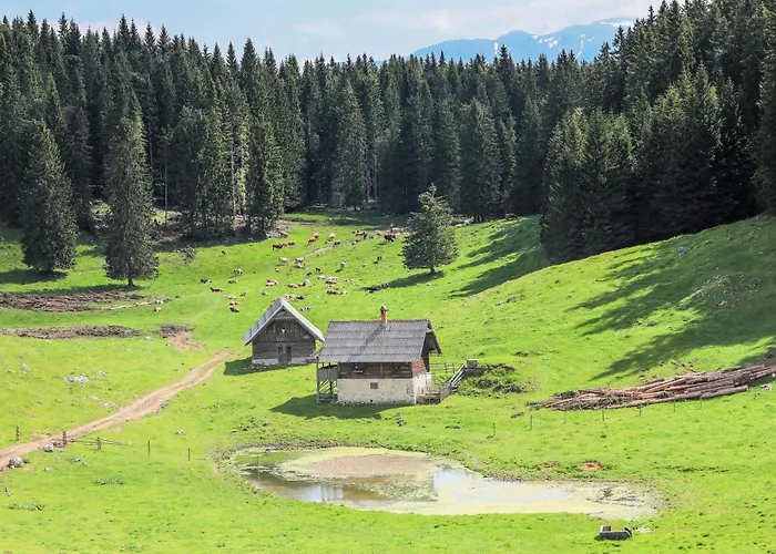 Tatil Evi Pocitniska Hisa Gorski Sepet