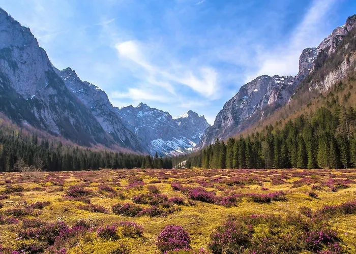 Tatil Evi Pocitniska Hisa Gorski Sepet Bled