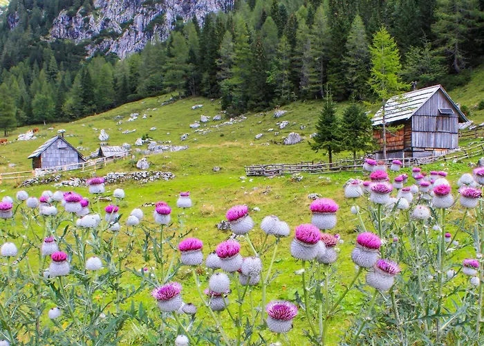 Pocitniska Hisa Gorski Sepet * Bled