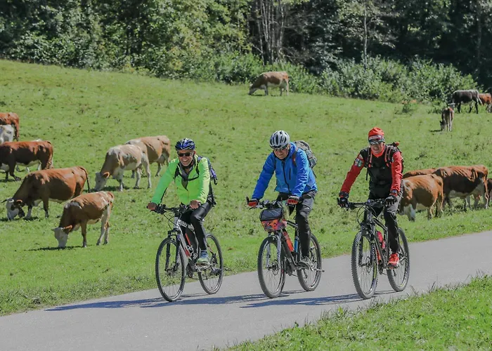 Tatil Evi Pocitniska Hisa Gorski Sepet *