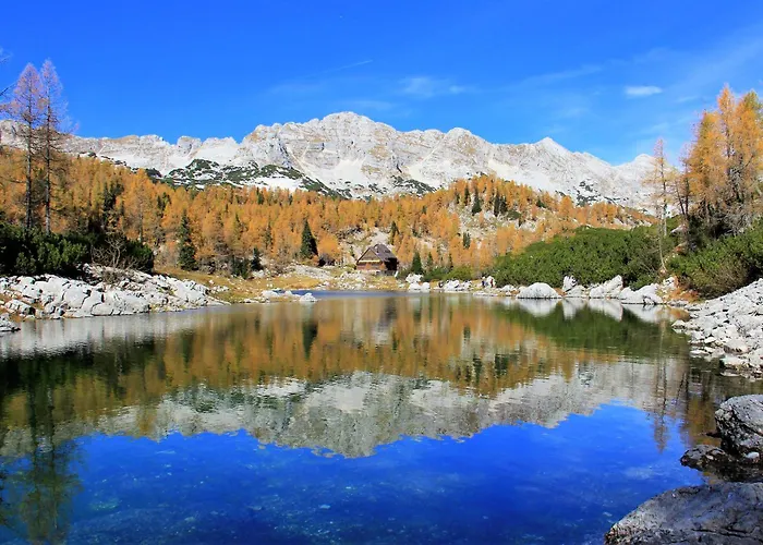 Pocitniska Hisa Gorski Sepet