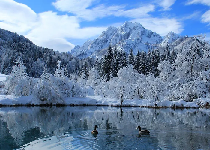 Pocitniska Hisa Gorski Sepet Bled